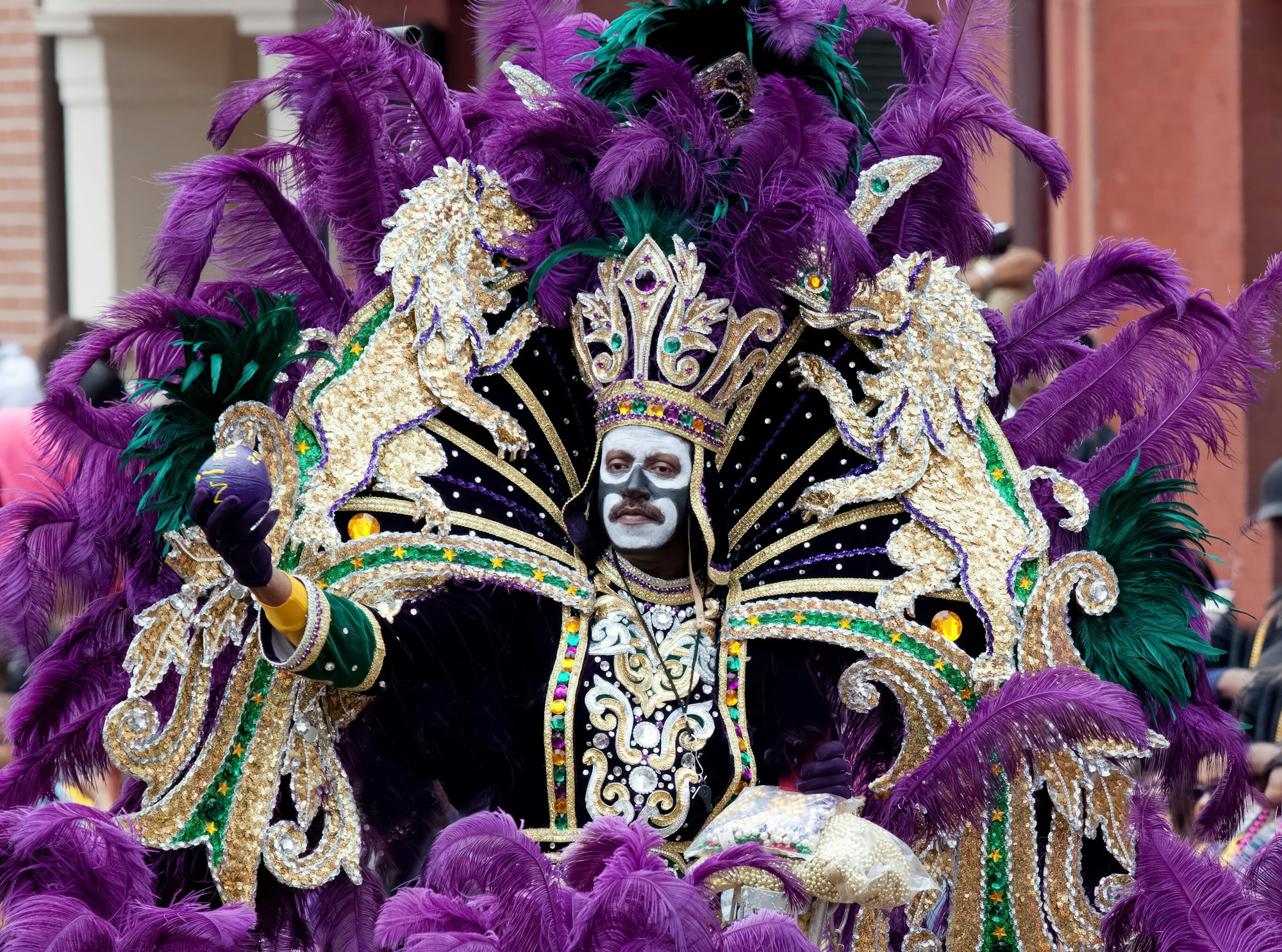 Mardi Gras king in full regalia in New Orleans, Louisiana. Photo by Carol Highsmith's America on Unsplash.