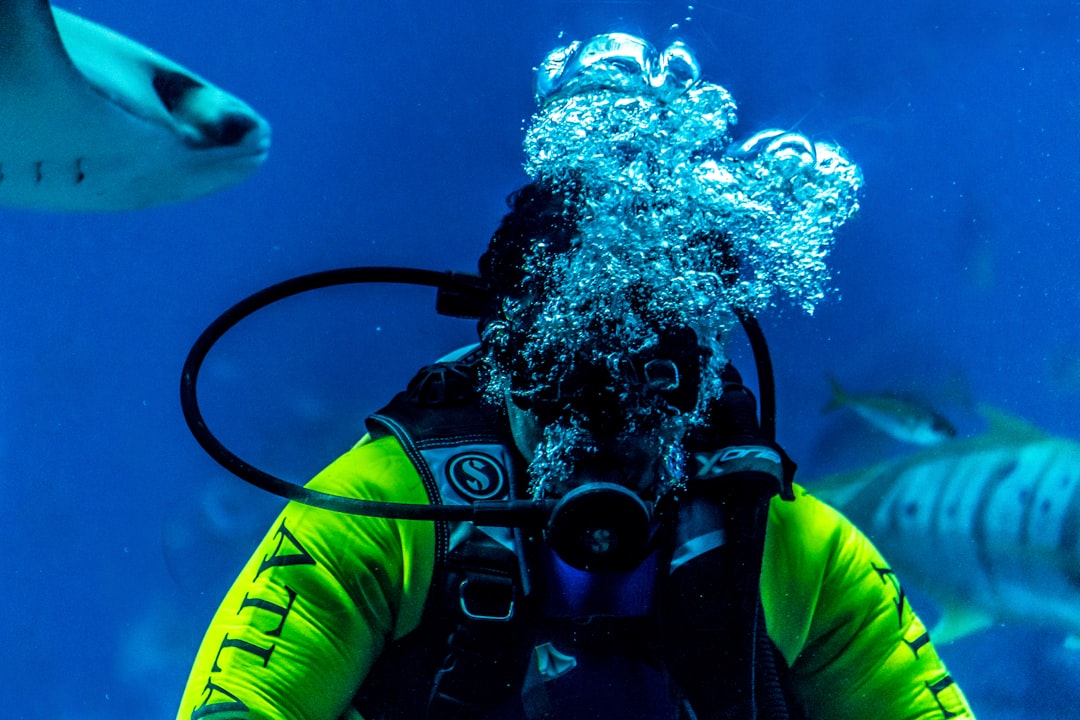 a scuba diver in a yellow wetsuit and a shark