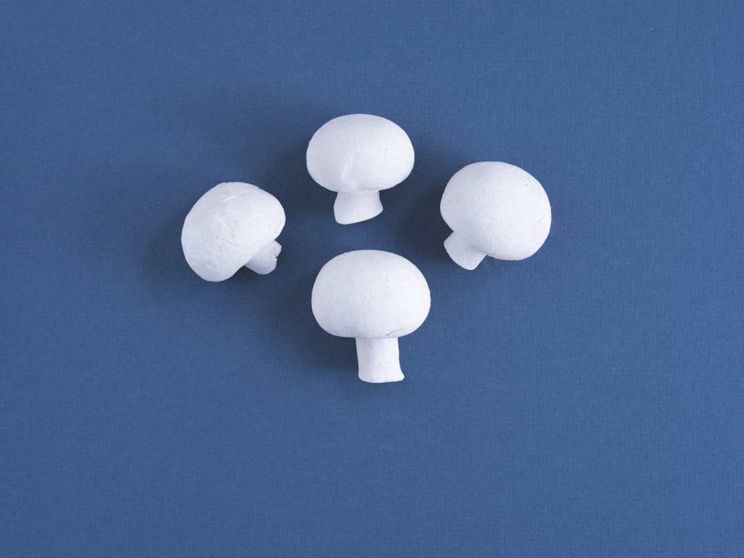 white round ornament on blue surface