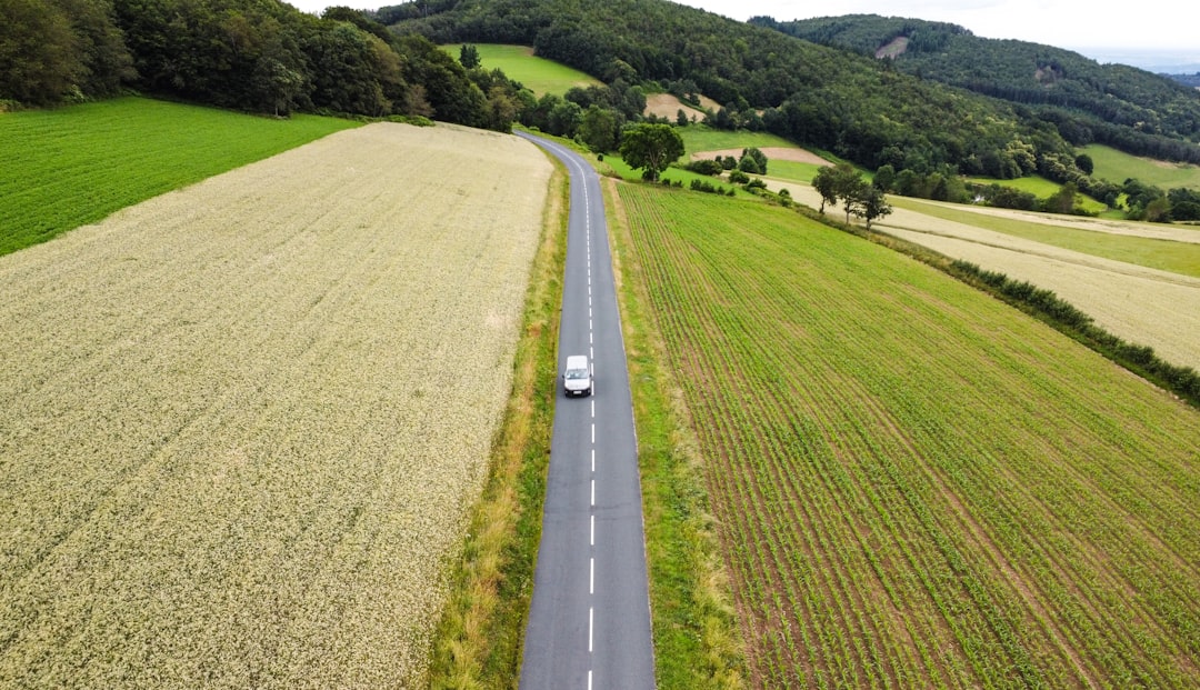 A car driving down a road in the middle of a field