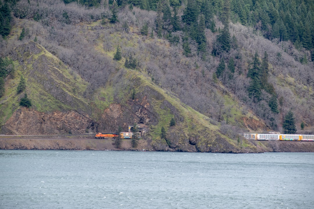 Train tracks run along a rocky, tree-covered hillside.