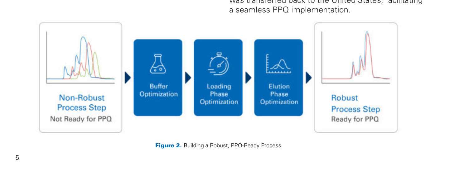Building a robust, PPQ-ready process: a non-robust chromatography step is transformed through buffer optimization, loading phase optimization and elution phase optimization into a robust step with reproducible chromatograms