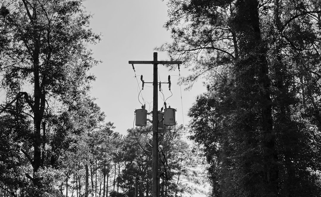 Telephone pole with transformers and wires in trees