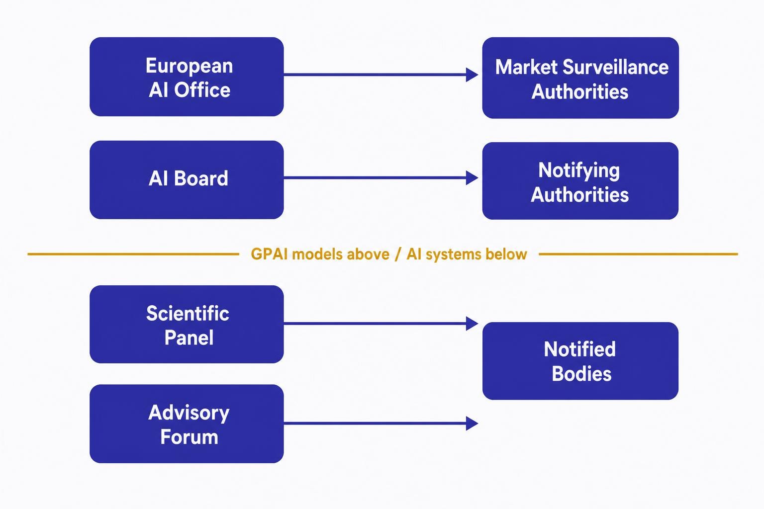 A clean two-column diagram showing EU-level enforcement on the left (European AI Office, AI Board, Scientific Panel, Advisory Forum) connected by arrows to national-level enforcement on the right (Market Surveillance Authorities, Notifying Authorities, Notified Bodies), with a horizontal dividing line labelled 'GPAI models above / AI systems below'